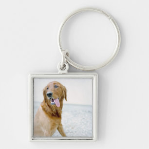 USA, Utah, Salt Lake City, Half shaved Golden Keychain