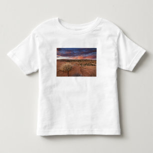 USA, Utah. Sunset on Poison Spider Mesa near Toddler T-shirt
