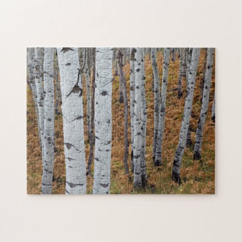 USA Utah Uinta_Wasatch_Cache National Forest 2 Jigsaw Puzzle