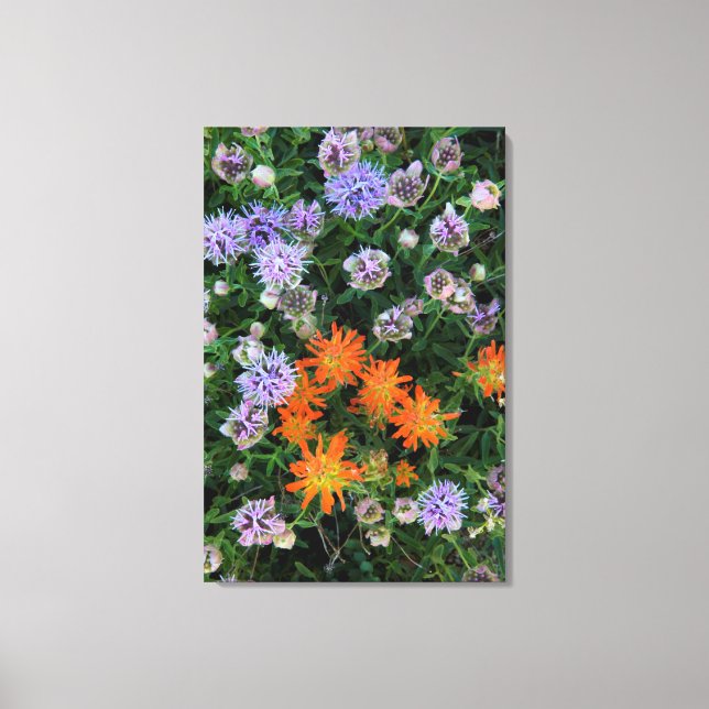 USA, Utah, Uinta-Wasatch-Cache National Forest 3 Canvas Print (Front)