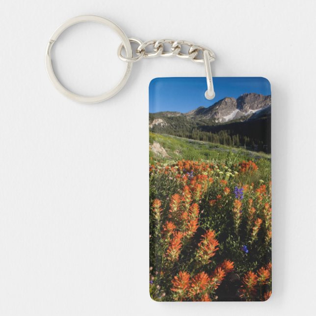 USA, Utah, Uinta-Wasatch-Cache National Forest Keychain (Front)