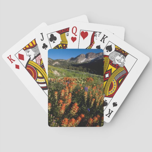 USA, Utah, Uinta-Wasatch-Cache National Forest Poker Cards (Back)