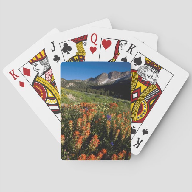 USA, Utah, Uinta-Wasatch-Cache National Forest Poker Cards (Back)