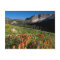 USA, Utah, Uinta-Wasatch-Cache National Forest