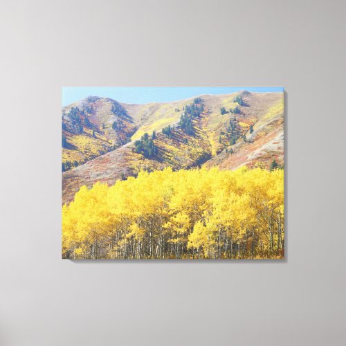 USA Utah Wasatch_Cache National Forest Canvas Print