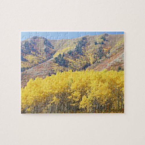 USA Utah Wasatch_Cache National Forest Jigsaw Puzzle