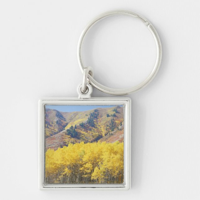 USA, Utah, Wasatch-Cache National Forest, Keychain (Front)