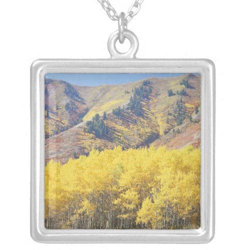 USA Utah Wasatch_Cache National Forest Silver Plated Necklace