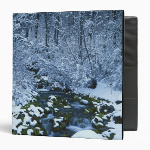 USA, Utah, Wasatch-Catch National Forest, Binder