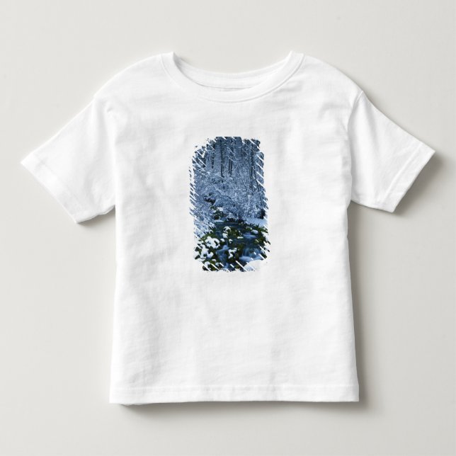 USA, Utah, Wasatch-Catch National Forest, Toddler T-shirt (Front)