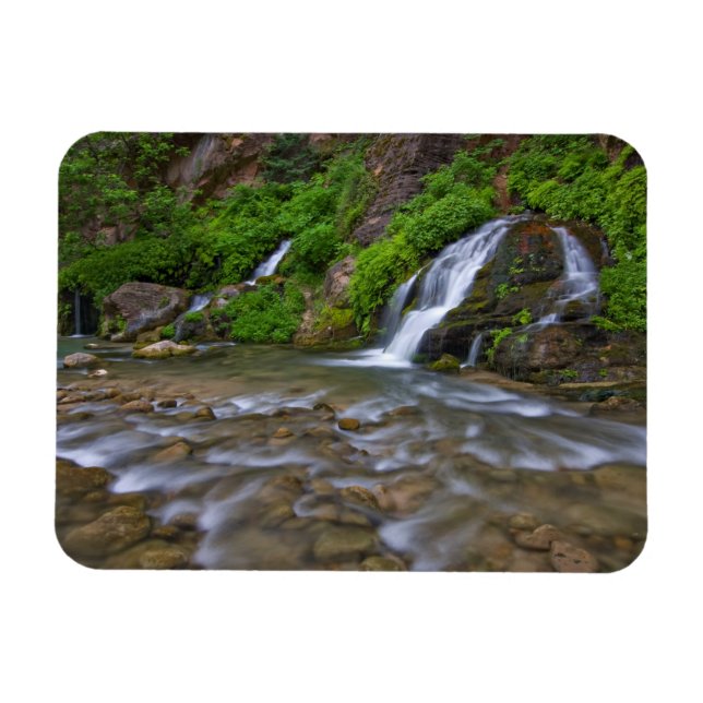 USA, Utah, Zion National Park.  Big Springs in Magnet (Horizontal)