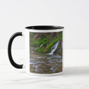 USA, Utah, Zion National Park. Big Springs in Mug