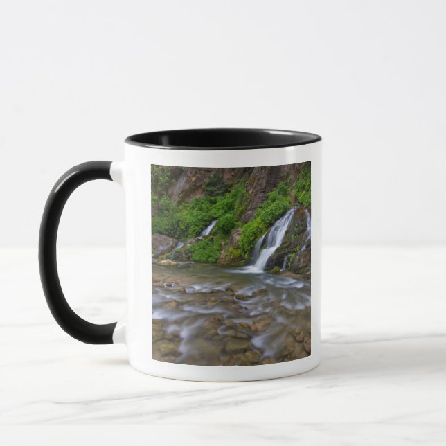 USA, Utah, Zion National Park.  Big Springs in Mug (Left)