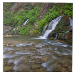 USA, Utah, Zion National Park. Big Springs in Tile