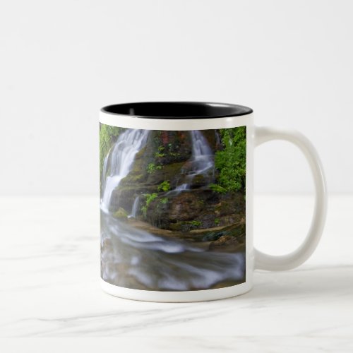 USA Utah Zion National Park  Big Springs in Two_Tone Coffee Mug