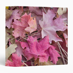 USA, Utah, Zion National Park Binder