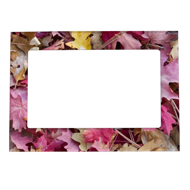 USA, Utah, Zion National Park Magnetic Picture Frame (Front)