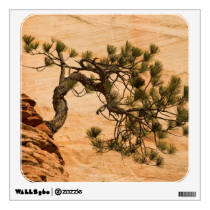 USA, Utah, Zion National Park. Pine tree Wall Decal