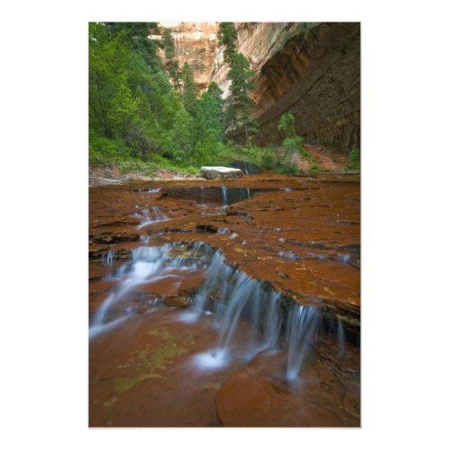 USA Utah Zion National Park Scenic from 2 Photo Print