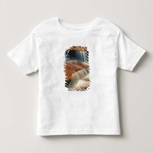 USA, Utah, Zion National Park. Scenic from 2 Toddler T-shirt (Front)