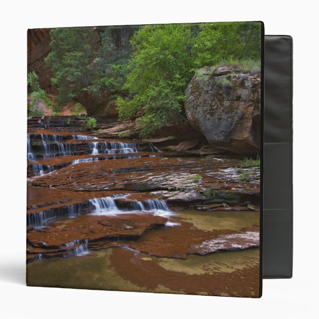 USA, Utah, Zion National Park. Scenic from 4 Binder (Front/Inside)