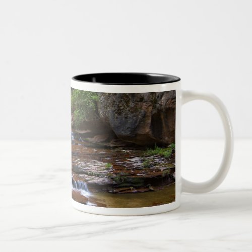 USA Utah Zion National Park Scenic from 4 Two_Tone Coffee Mug