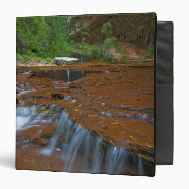 USA, Utah, Zion National Park. Scenic from Binder (Front/Inside)