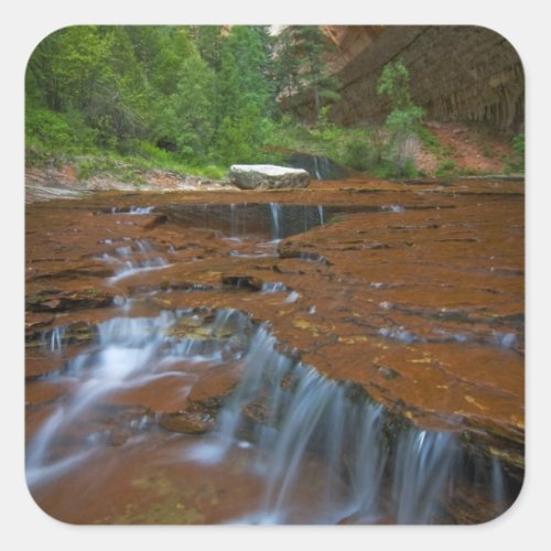 USA Utah Zion National Park Scenic from Square Sticker