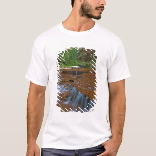 USA Utah Zion National Park Scenic from T_Shirt