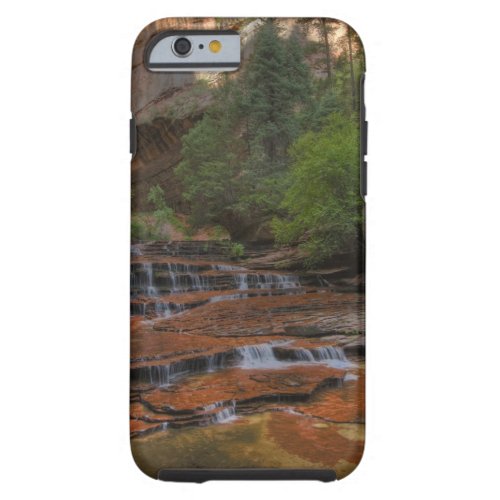 USA Utah Zion National Park  Scenic from the Tough iPhone 6 Case