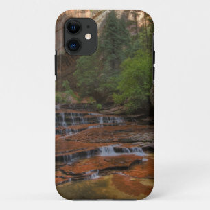 USA, Utah, Zion National Park.  Scenic from the iPhone 11 Case