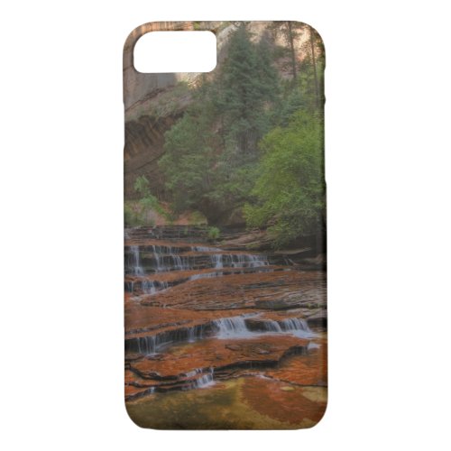 USA Utah Zion National Park  Scenic from the iPhone 87 Case