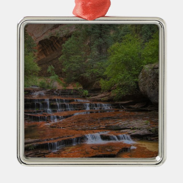 USA, Utah, Zion National Park.  Scenic from the Metal Ornament (Front)