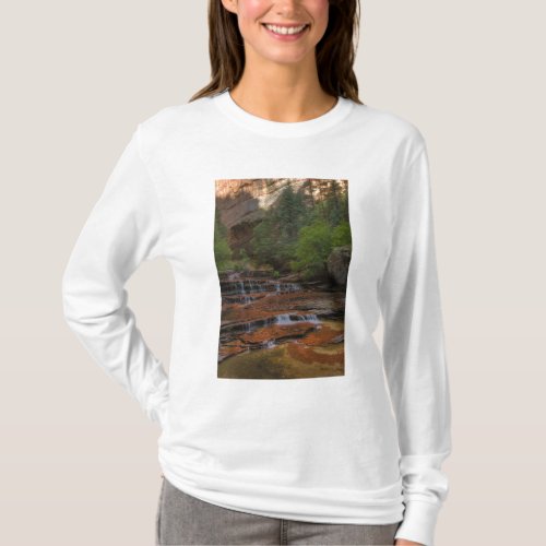 USA Utah Zion National Park  Scenic from the T_Shirt