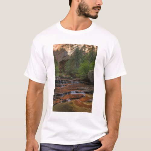 USA Utah Zion National Park  Scenic from the T_Shirt