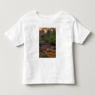 USA, Utah, Zion National Park.  Scenic from the Toddler T-shirt