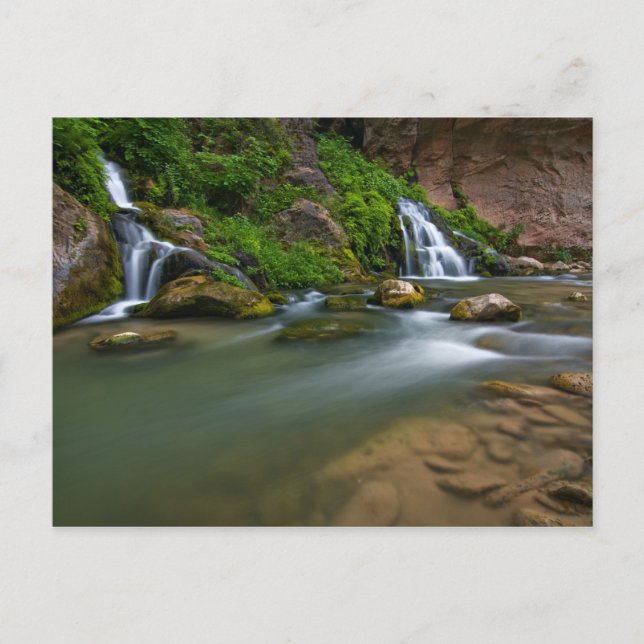 USA, Utah, Zion National Park. The Virgin Postcard (Front)