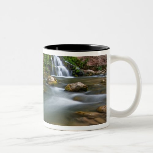 USA Utah Zion National Park The Virgin Two_Tone Coffee Mug