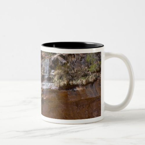 USA Utah Zion National Park Water Falls at Two_Tone Coffee Mug