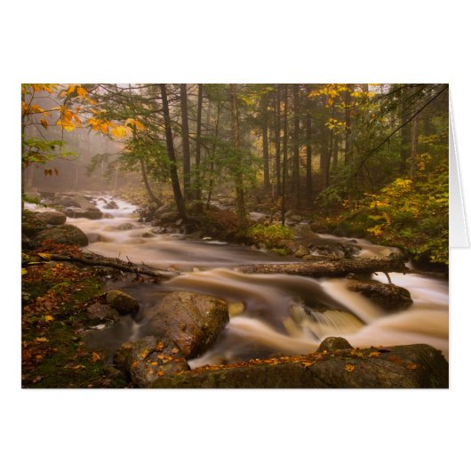 USA, Vermont, East Arlington, Flowing streams 2 (Front Horizontal)