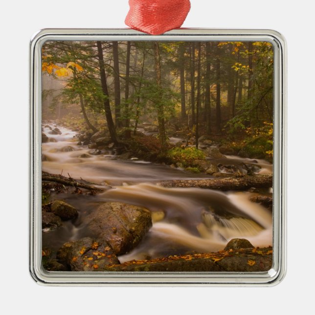USA, Vermont, East Arlington, Flowing streams 2 Metal Ornament (Front)
