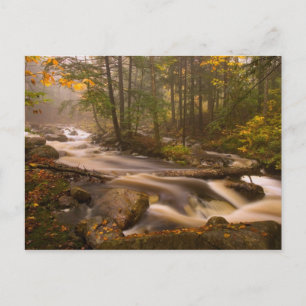 USA, Vermont, East Arlington, Flowing streams 2 Postcard