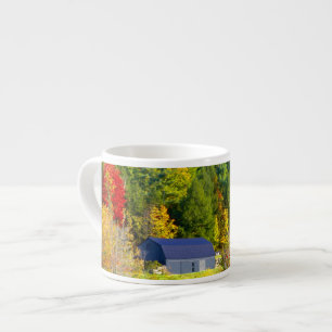USA, Vermont. Fall foilage along Highway 100. Espresso Cup