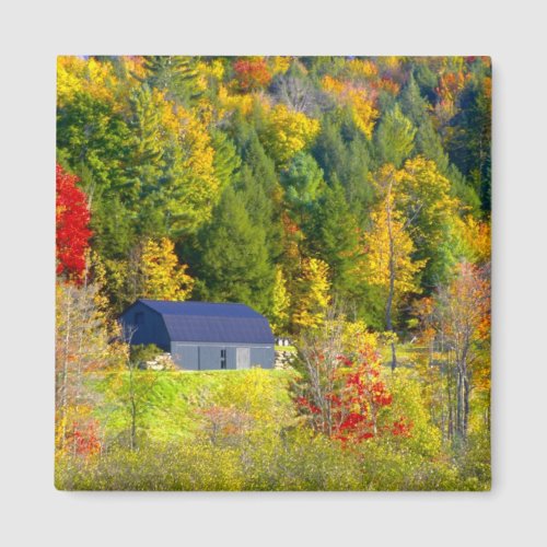 USA Vermont Fall foilage along Highway 100 Magnet