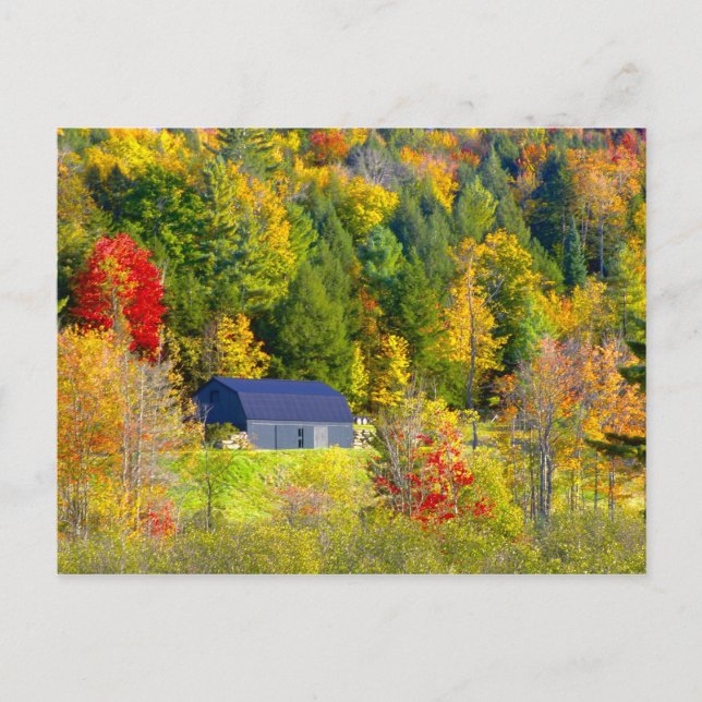 USA, Vermont. Fall foilage along Highway 100. Postcard (Front)