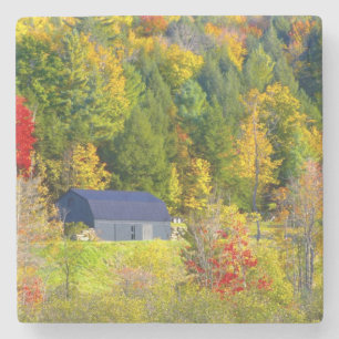 USA, Vermont. Fall foilage along Highway 100. Stone Coaster