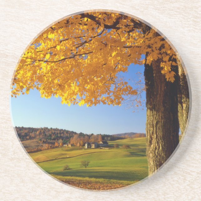 USA, Vermont. Farm Scenic Near South Woodstock Drink Coaster (Front)
