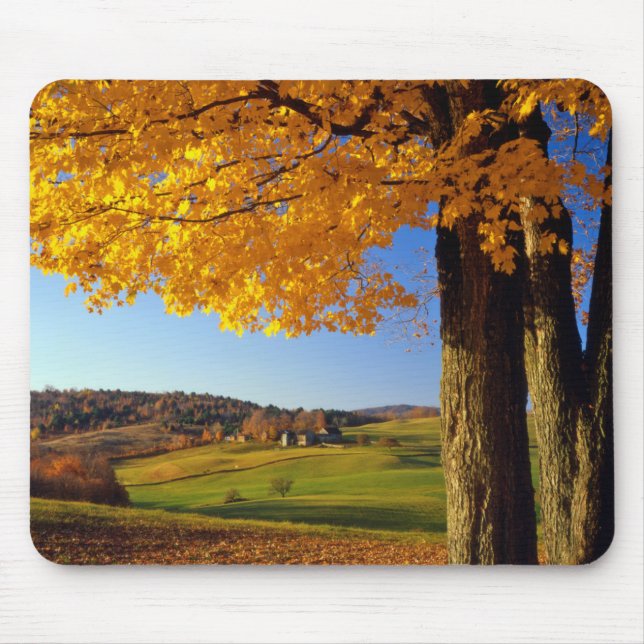 USA, Vermont. Farm Scenic Near South Woodstock Mouse Pad (Front)