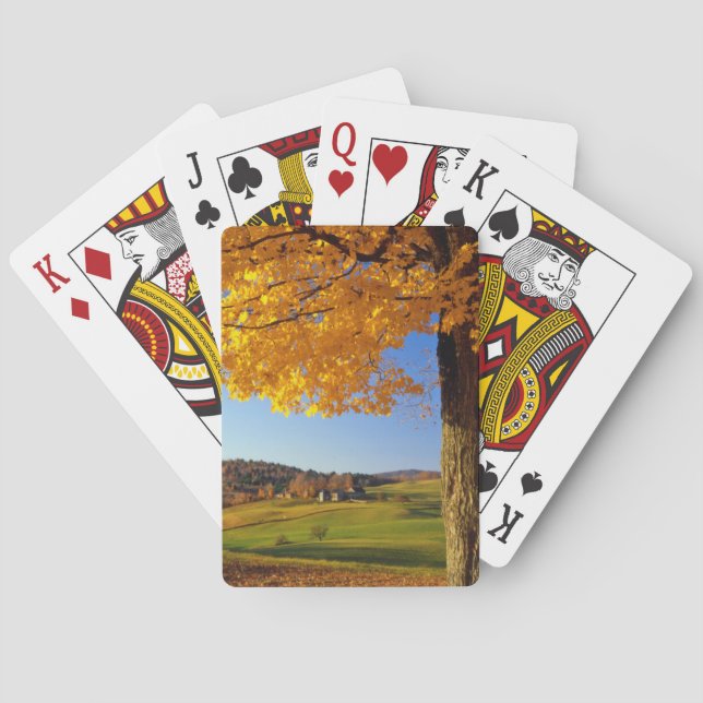 USA, Vermont. Farm Scenic Near South Woodstock Poker Cards (Back)