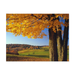 USA, Vermont. Farm Scenic Near South Woodstock Postcard